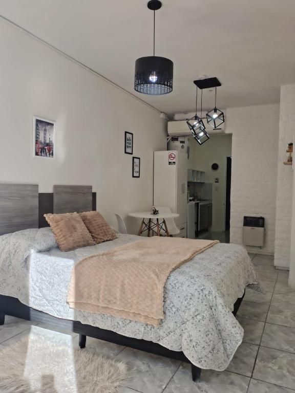 Estudio Moderno PB - Check in Autonomo - Centrico - 4