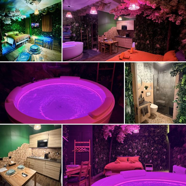 JUNGLE SUITE - Jacuzzi - Centre - Clim by Narbana - 4