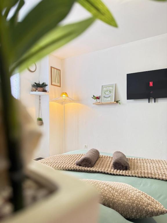 Le Jardin Secret - Studio Lumineux - 2