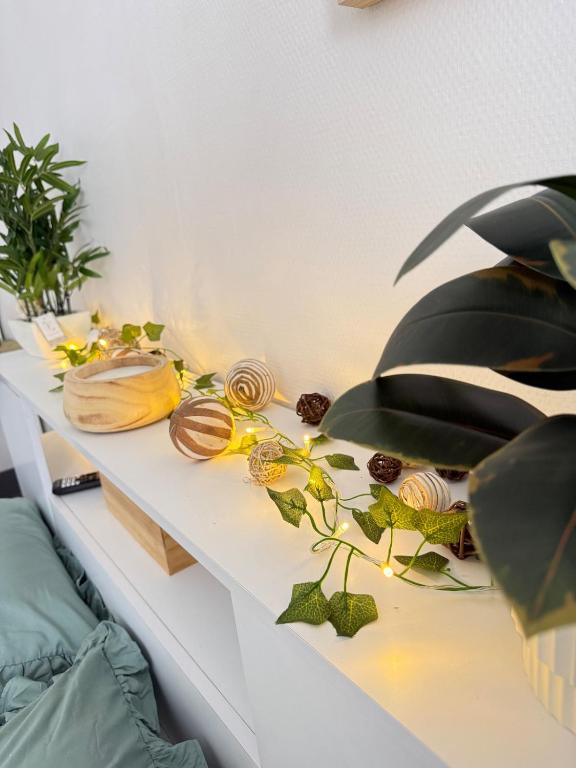 Le Jardin Secret - Studio Lumineux - 5