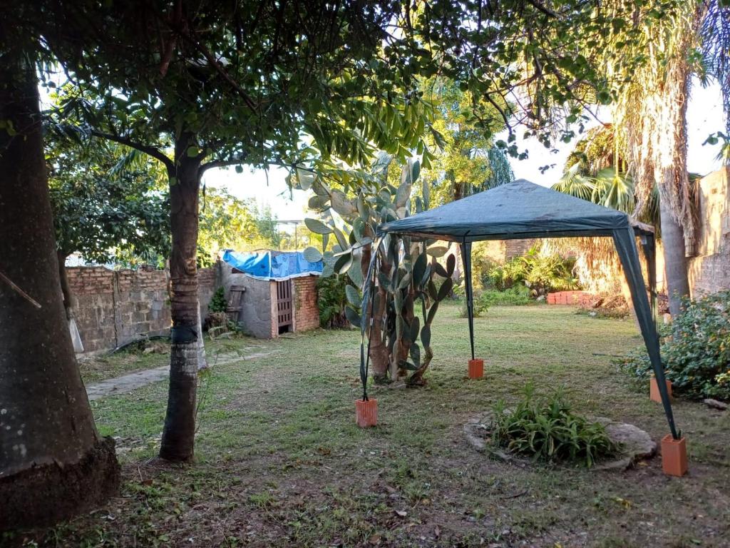 La Casa de los Pájaros - 4