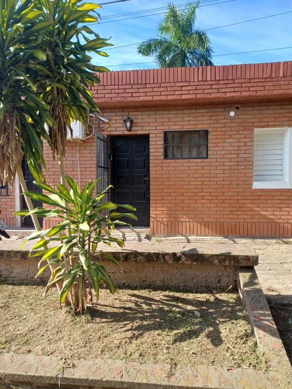 La Casa de los Pájaros - 1