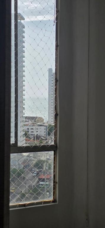 Aqualina cartagena - 5