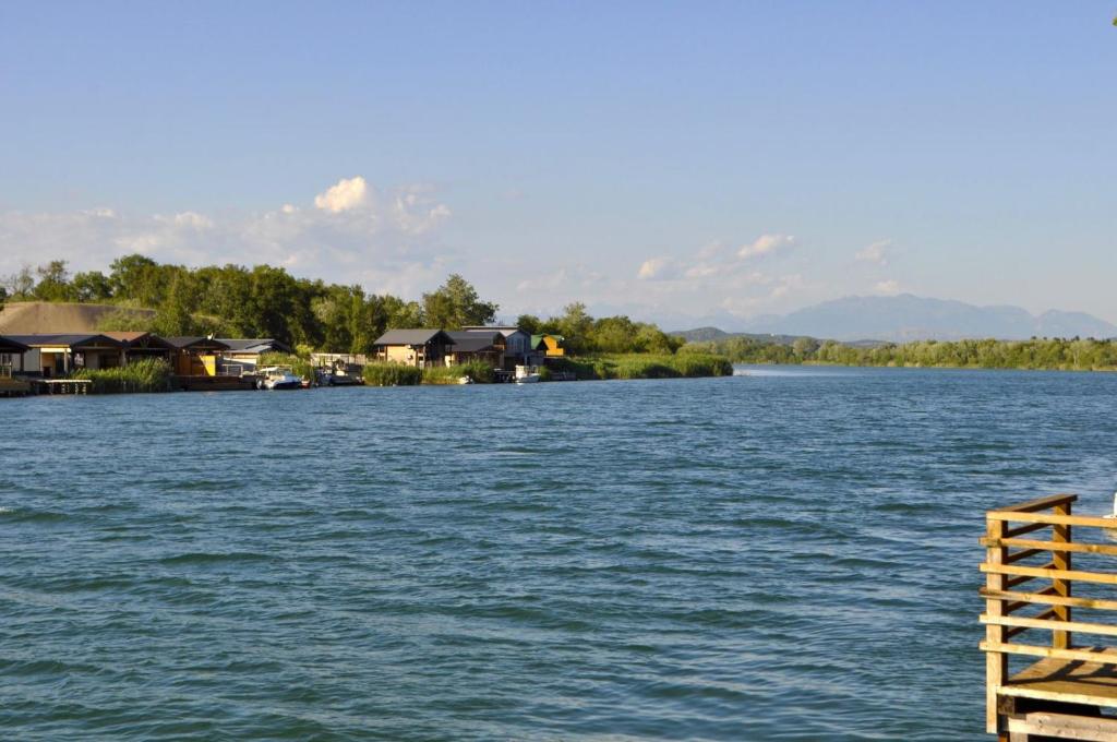 Zvončica Ada Bojana - 3