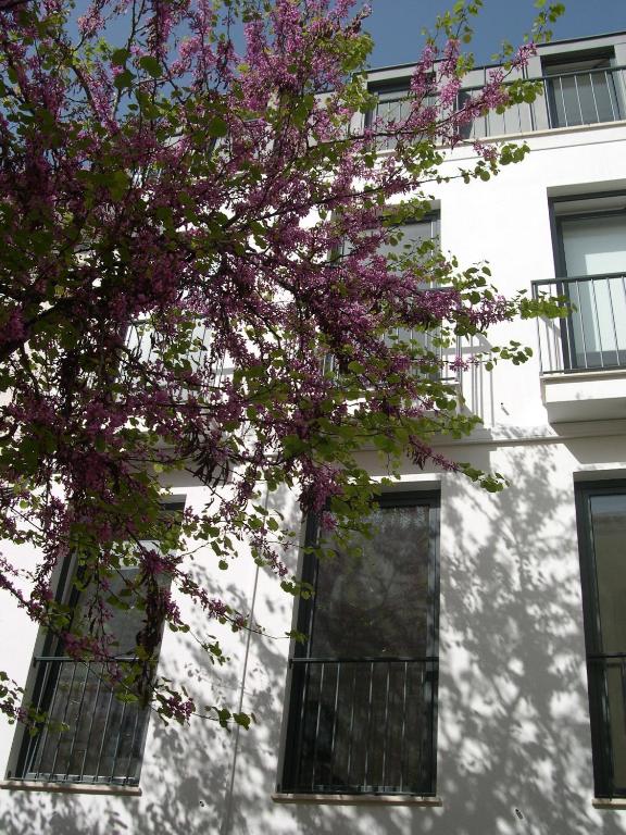 Hotel Property