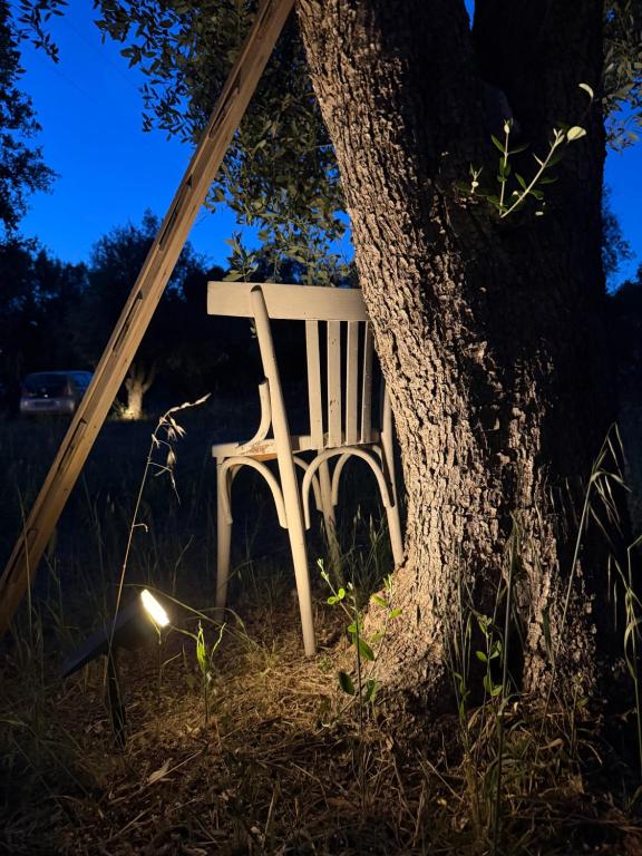 Trullo Lei by Borgo Paoli, Romantic Experience with Pool & Olive Trees in Ostuni - 3