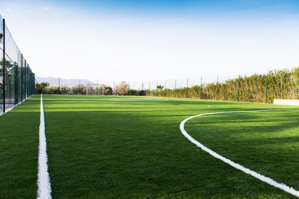 Sport och fritidsaktiviteter