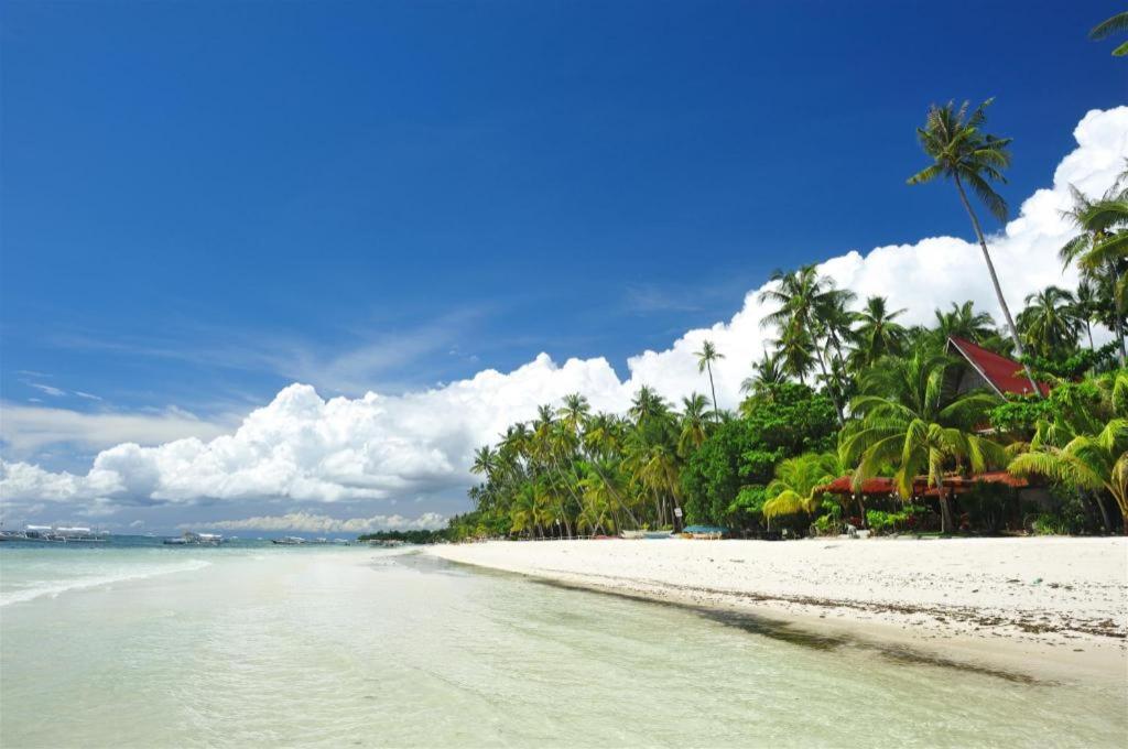 Dubay Panglao Beachfront Resort