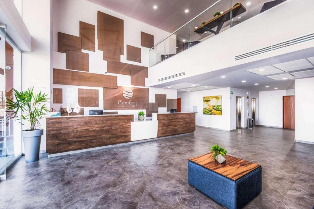 Comfort Inn & Suites Los Cabos - 4