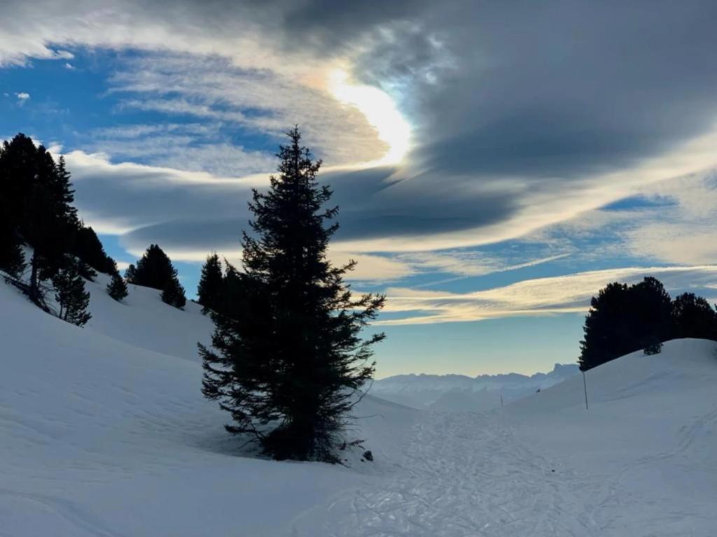 Sunny Slopes 209 - 4