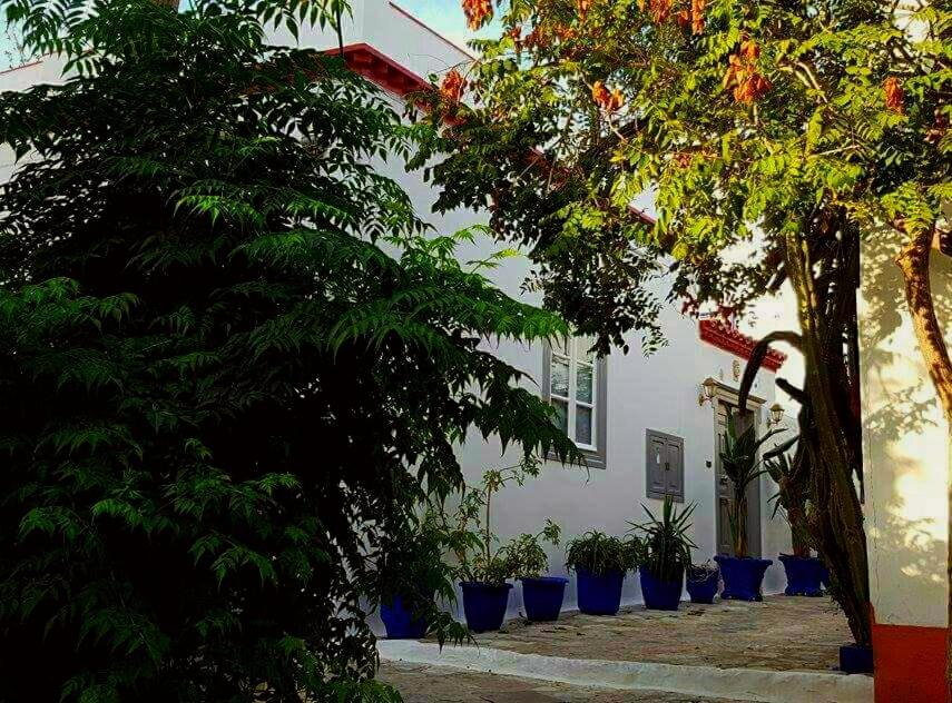 Manolia photo