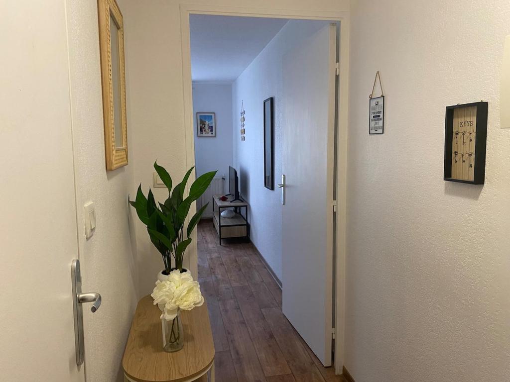 Studio cozy à Fréjus - Côte d'Azur - 3
