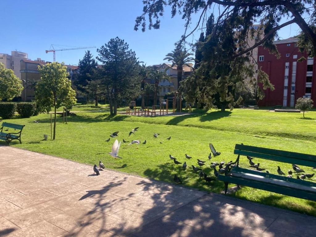 Two Bedroom Apartment near Slovenska Beach - 4