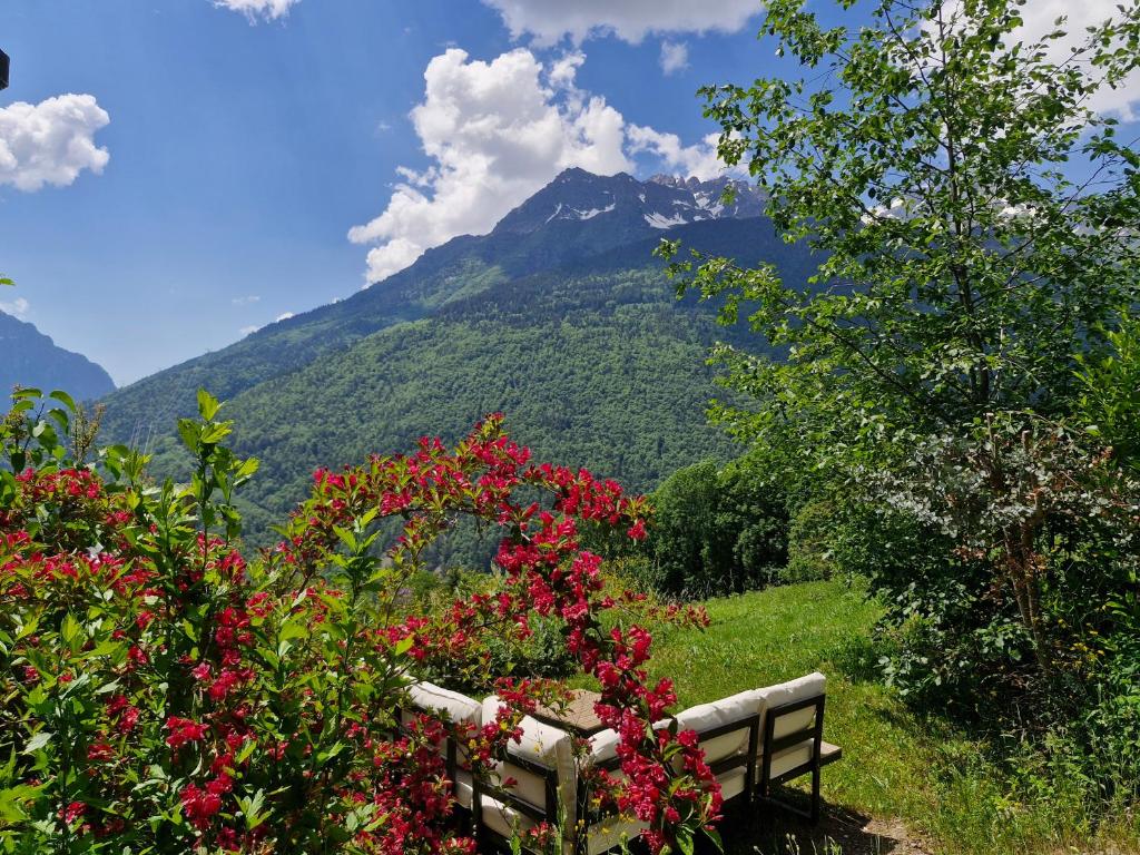 Chalet Amuse - 5