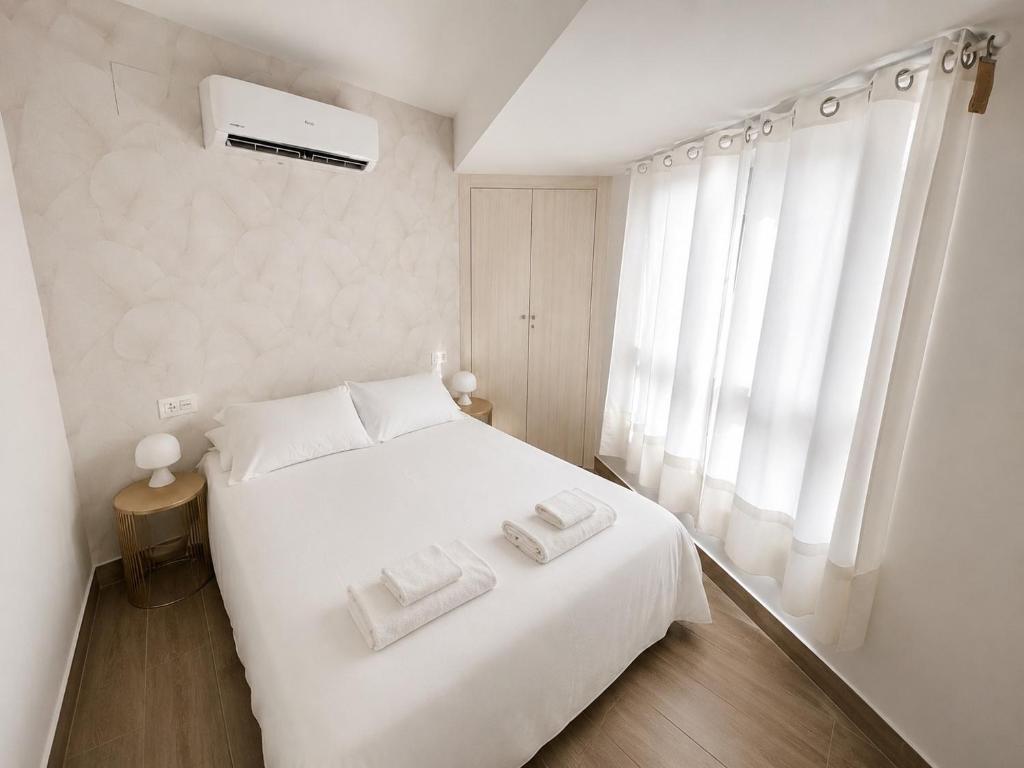 IV Apartamento junto a PLAZA MAYOR - 4