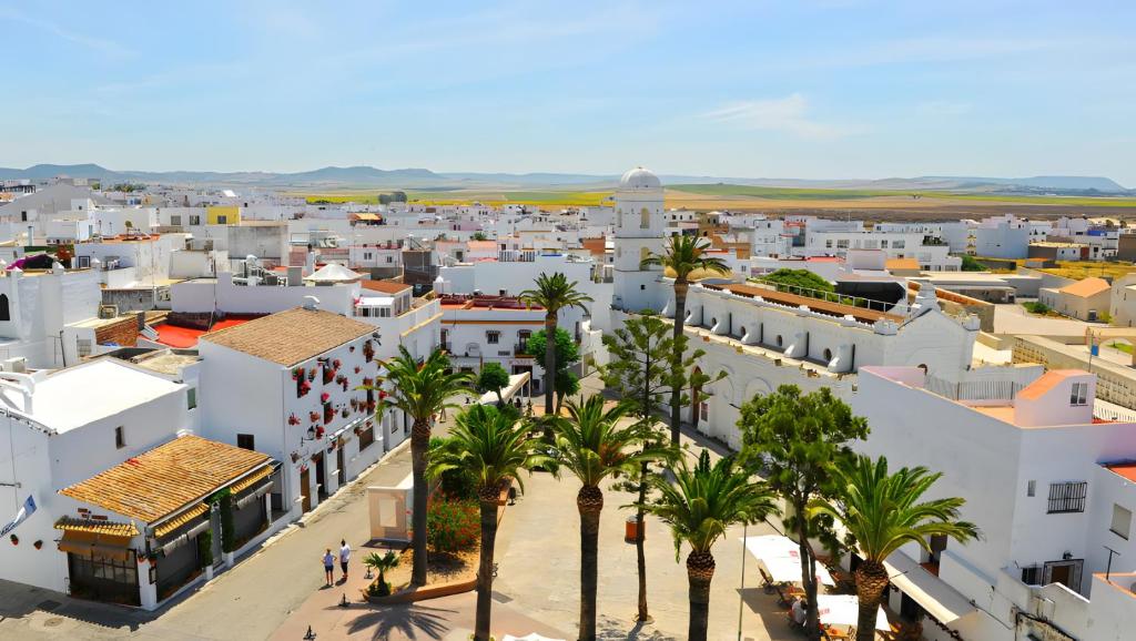 Casa Olivo - 4