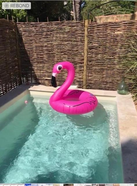 Jolie Mazet Provençale avec Piscine, à quelques minutes du Centre - 4