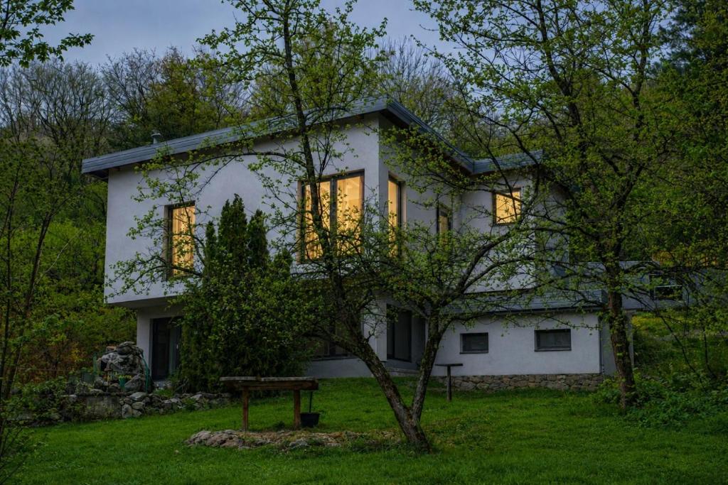 Sarajevo Hills-POOL&JACUZZI private garden Home-Near Old Town - 5