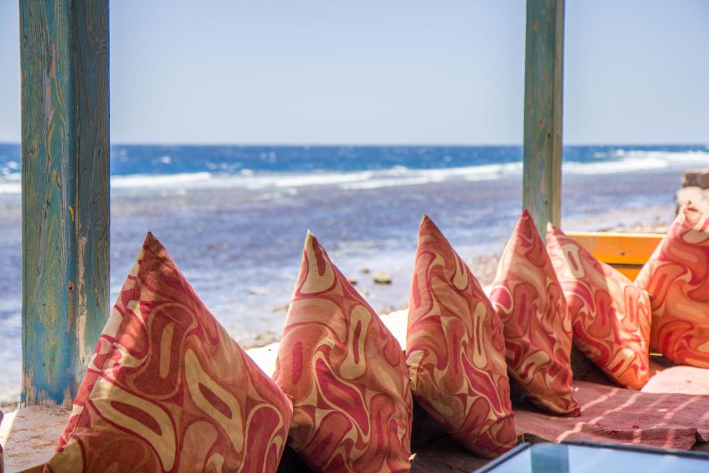 Shams Hotel & Dive Centre photo