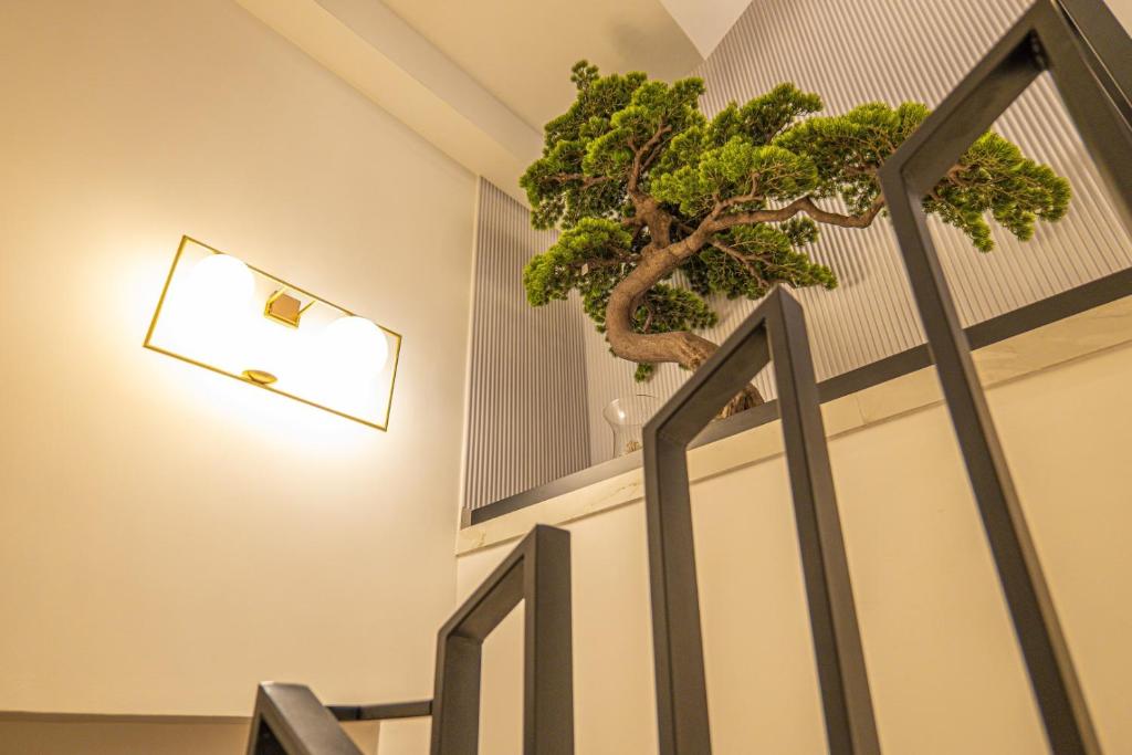 Palazzo Coppola - Exclusive Rooms - 4