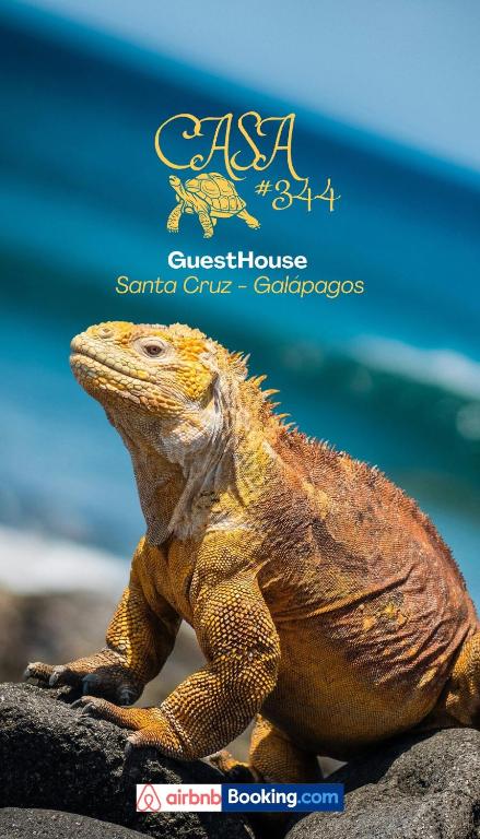 #5 Mini Suite, Cerca de Todo, 2-3 people - AC - 5