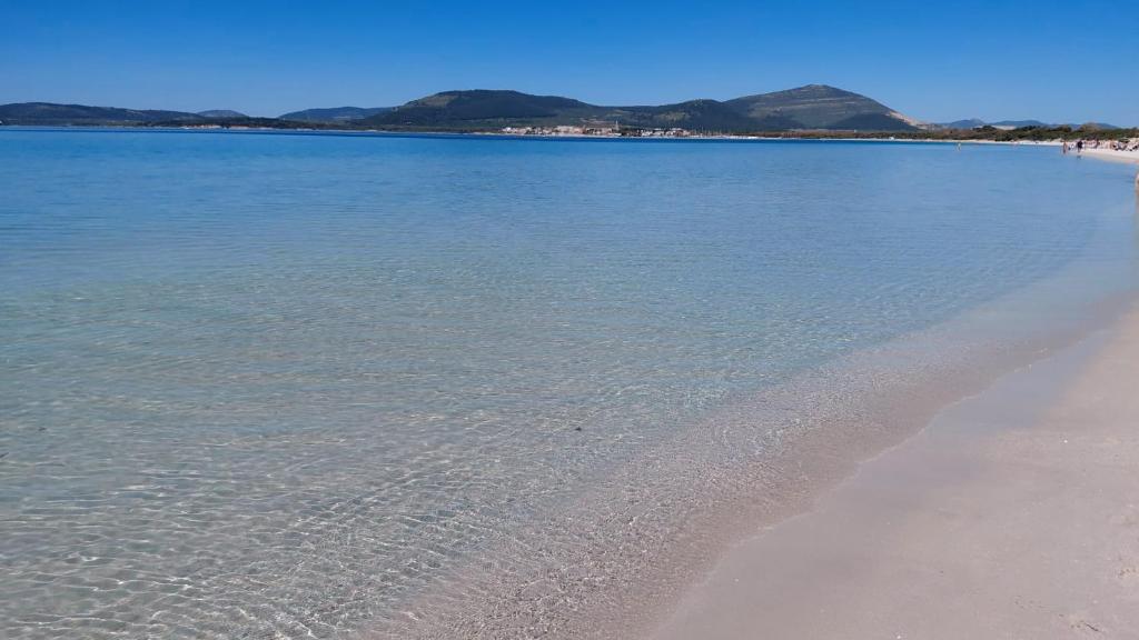Lidoisola, vicino spiaggia, aria condizionata,posto auto privato, ascensore - 1