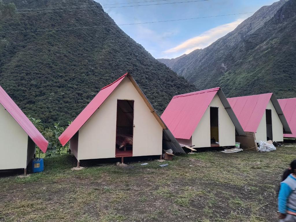 Refugio Salkantay collpapampa - 5