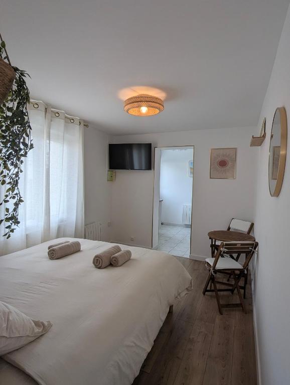 Studio cosy - terrasse privative - lit queen size - 2