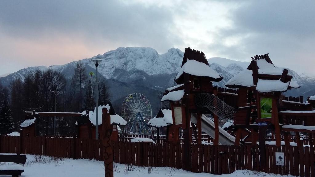 Programlehetőségek