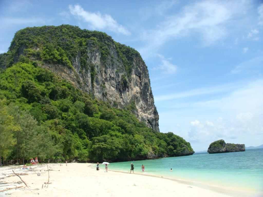 アクティビティ