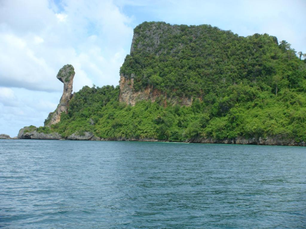 アクティビティ