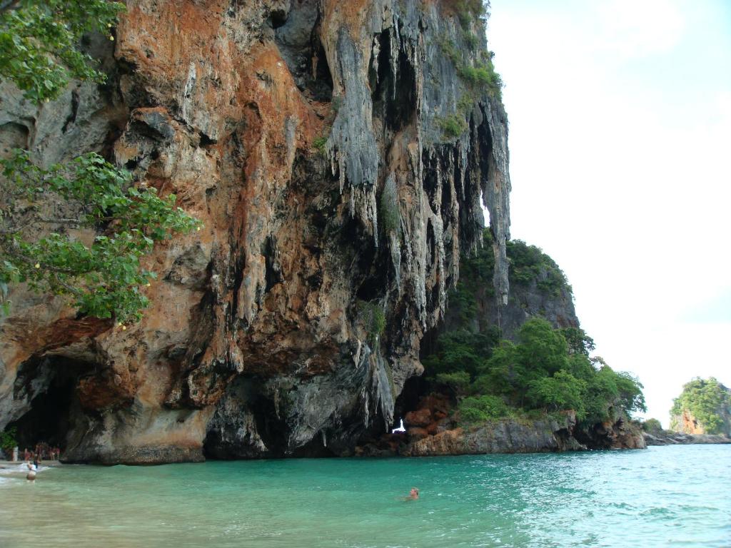 アクティビティ