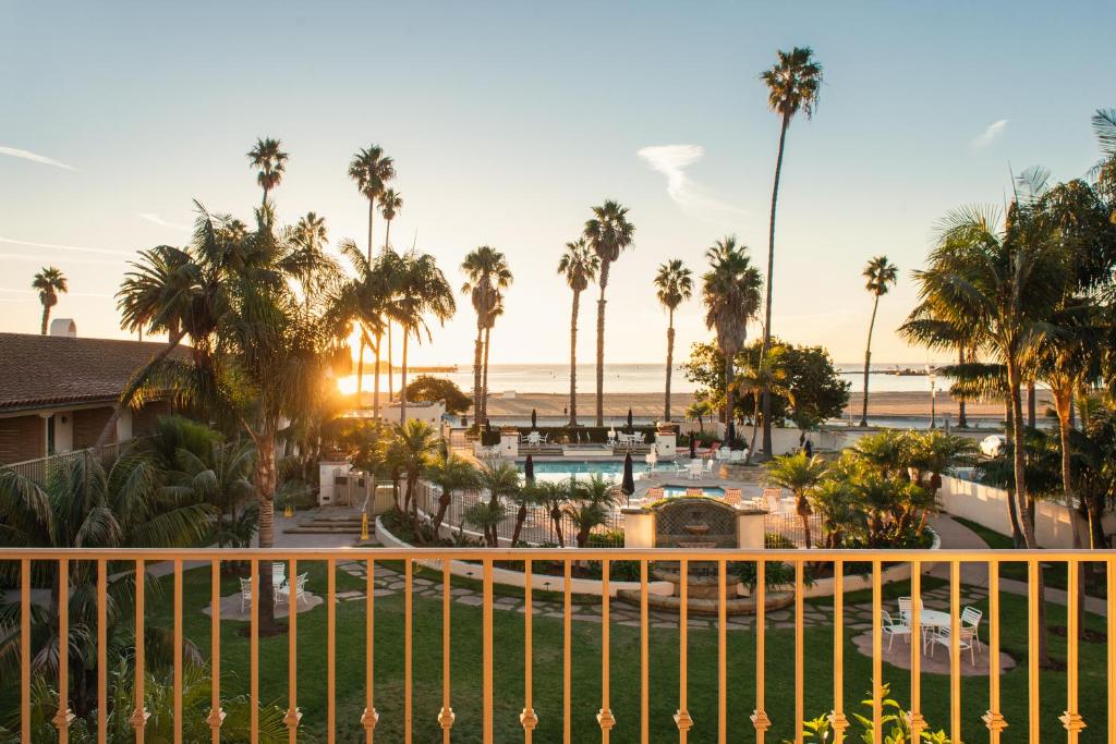 Ảnh 4