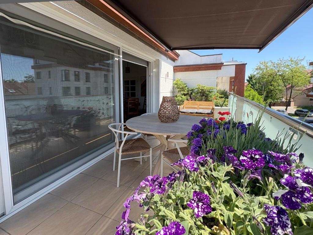Zemun cozy duplex - 4
