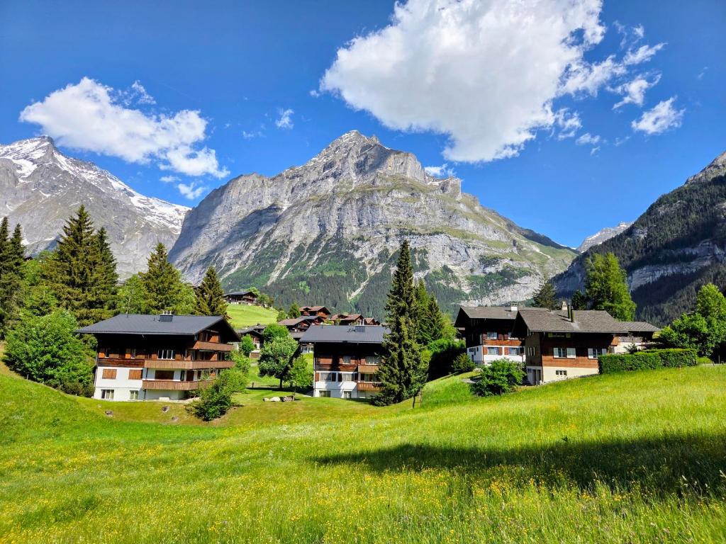 MOM - Alpine Boutique Apartments, Romantica, near Grindelwald Terminal - 1