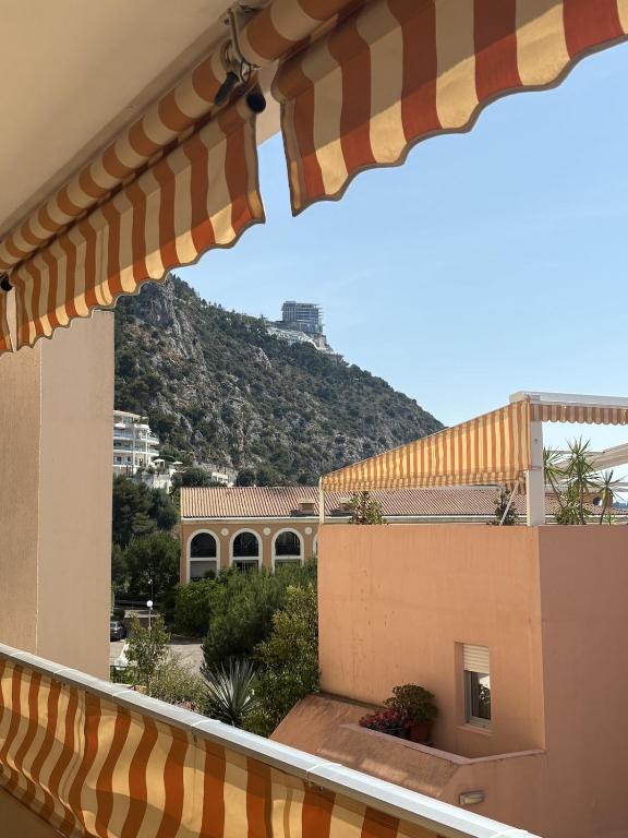 Spacious Apartment Portes De Monaco Terrace - 1