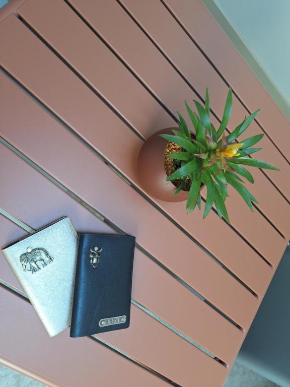 Evasion Bali - Appartement Cosy & Ambiance Zen - 5