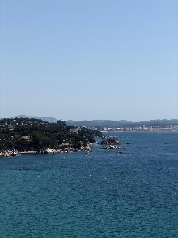 Аpartamentos en primera línea de mar - 1