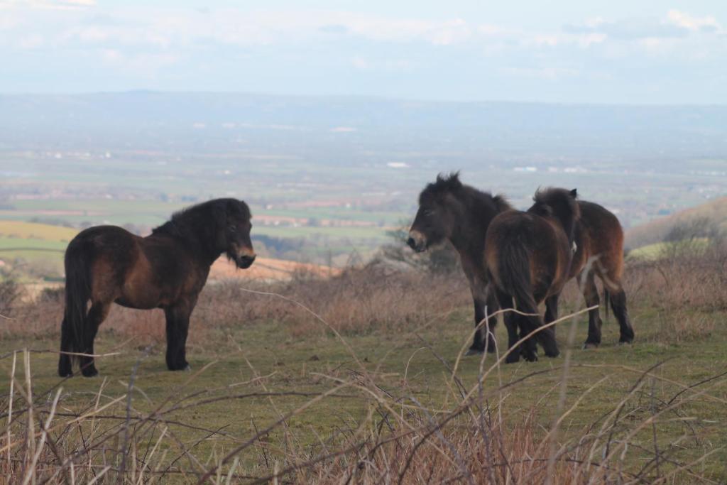 周辺観光スポット