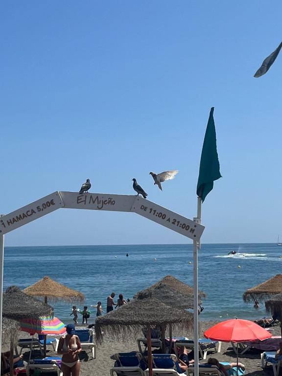 La Araña Beach Escape - 5