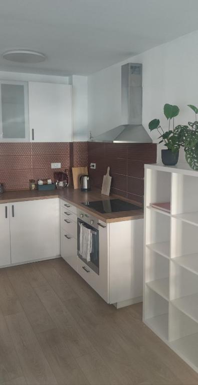 Belgrade Apartment with Large Private Terrace - 4
