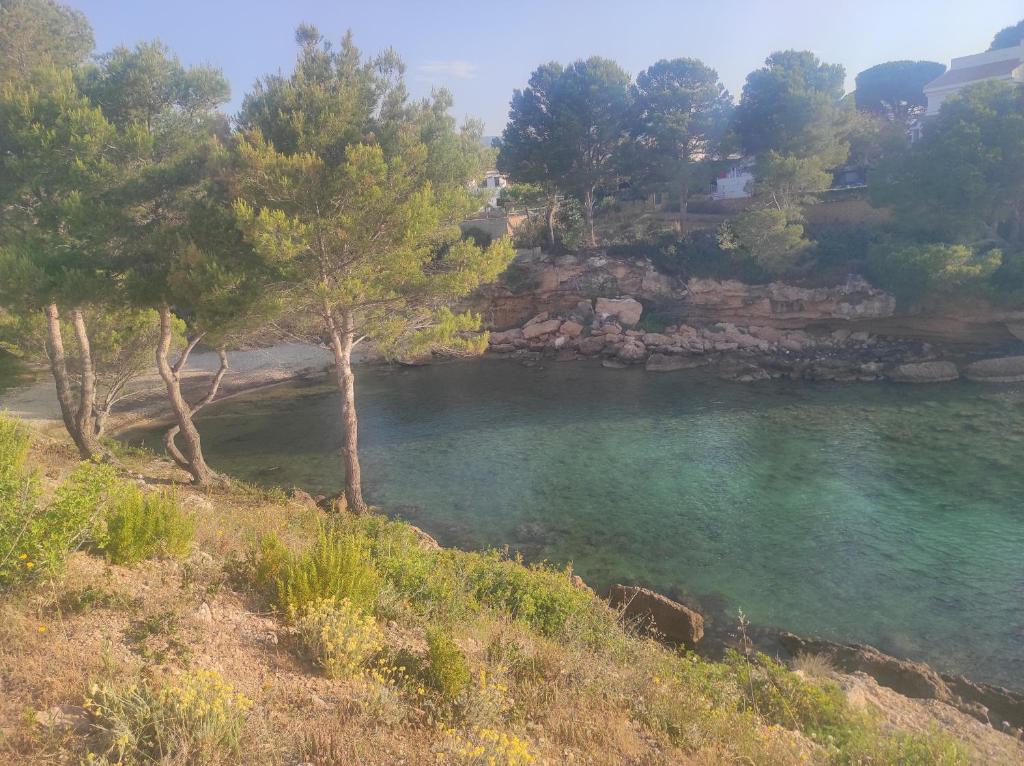 Mi morena cala llobeta 35 - 3