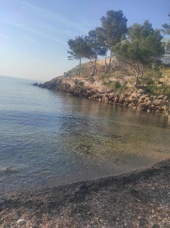 Mi morena cala llobeta 35 - 2