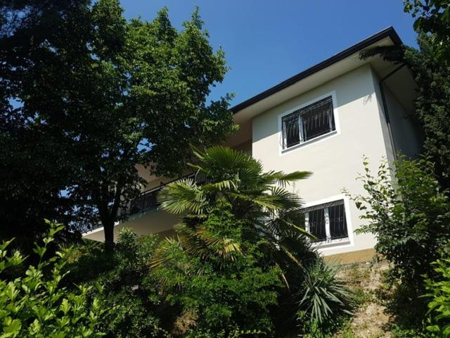 Apartments- Villa Belvedere - 5
