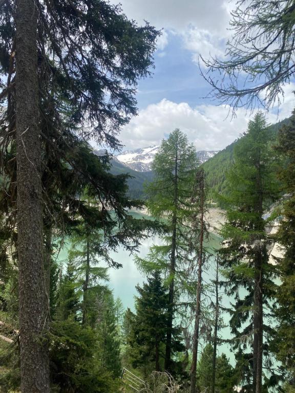 Ferienhof - agritur Mairulrichhof - 5