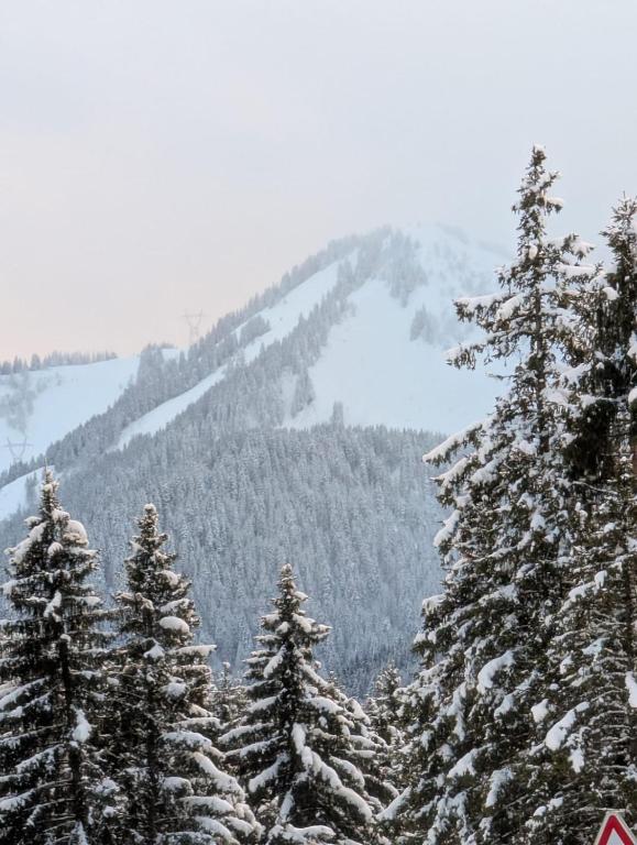 Les Portes du Soleil Studio - 4