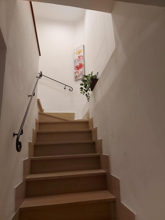 Vicolo dell'Orto - 3