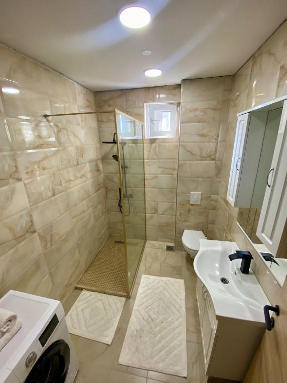 Milosavljevic Apartments - 3