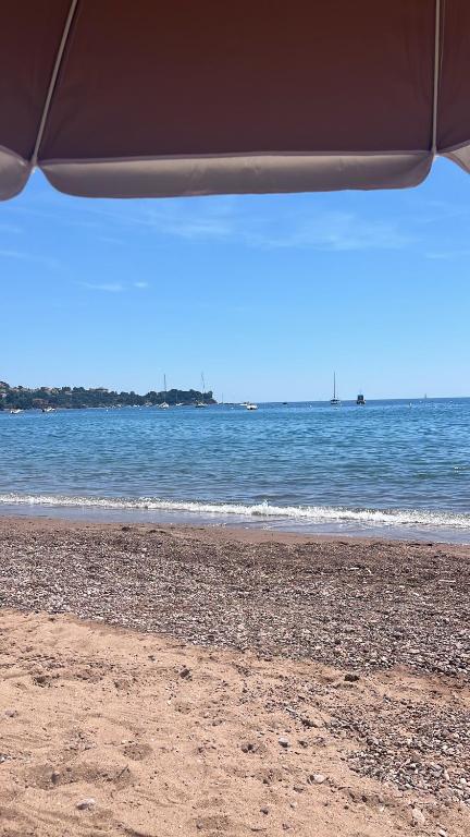 Magnifique appartement petit havre de paix Frejus - 3