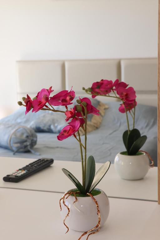 Milla Luxury Apartment - 1